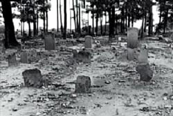 The Black Hope cemetary, several headstones in a field in front of a line of trees.