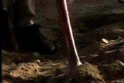 A shovel pushed into the ground, the leg and black shoe of the shoveler can be seen in the background.