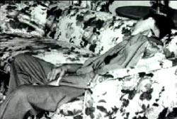 The corpse of Bugsy Siegel sitting on a floral couch, there is a blood visible on his shirt.