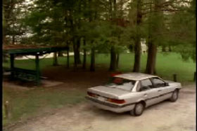 A gray sedan parked near some trees in a field.