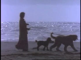 A person walks a large dog and a medium dog along a beach.