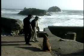 Two police officers stand by a bloodhound next to the ocean.