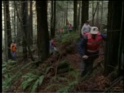 A search team in red vest fans out in the forest looking for Kristi.
