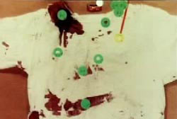 A picture of Darlie's shirt that she was wearing during the attack. There are small green stickers next to every blood stain.