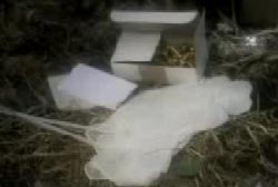 A box of plastic gloves and ties on the dirt floor