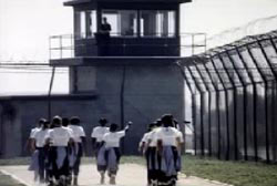 A group of inmates walking towards a guard standing atop a guard tower