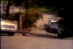 Mickey and Trudy's body in the middle of a driveway