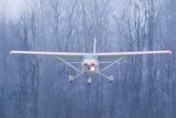 A small airplane flying down to the backdrop of a forest