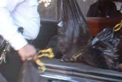 A police officer taking trashbags out of the back of a car