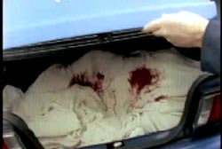 An investigator lifting the trunk of a car to reveal a body under blood stained white sheets