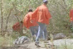 Search team in orange jackets walking into the forrest