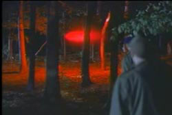Airmen looking through trees at a glowing red light in the middle of the forest