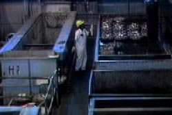 A man with a white jumper and yellow hardhat on opperating machinery in the factory