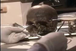 Investigator wearing latex gloves testing the found skull