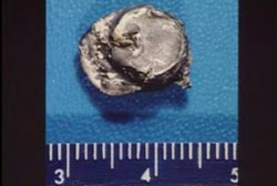 A spent shell found in tommoy's