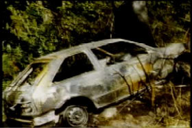 Burnt remains of a car in the middle of the forrest