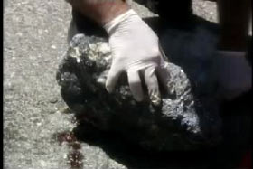 Police investigator wearing latex gloves and examining a rock with blood stains under it