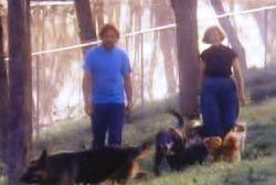 Mable and Charlie walking around the premises with 4 dogs