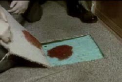 Investigators lifting up a square of carpet flooring with a blood stain underneath