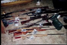 15 firearms layed out on a carpted floor
